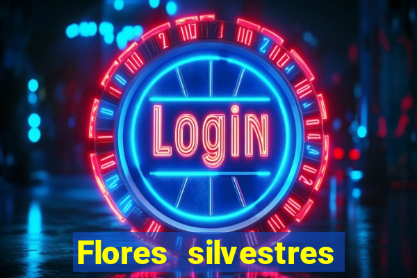 Flores silvestres brasileiras brasileiras flores silvestres nomes e imagens