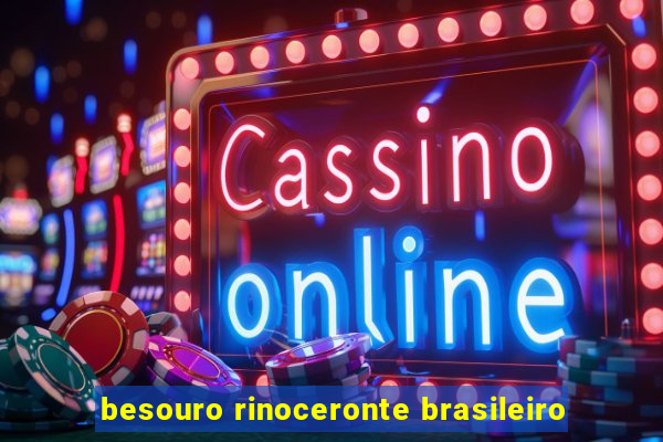 besouro rinoceronte brasileiro