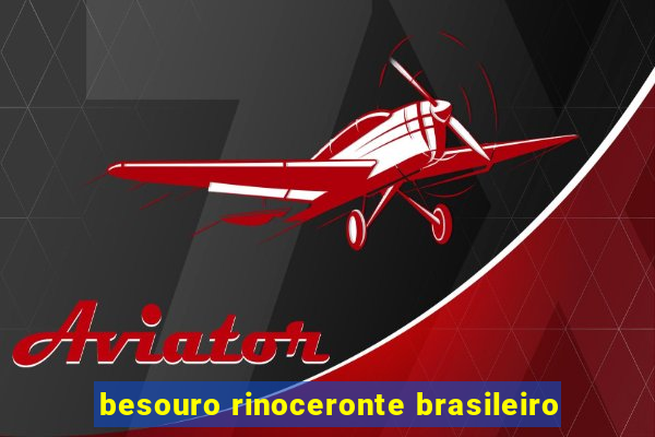 besouro rinoceronte brasileiro