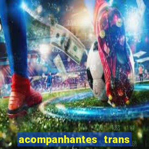 acompanhantes trans baixada fluminense