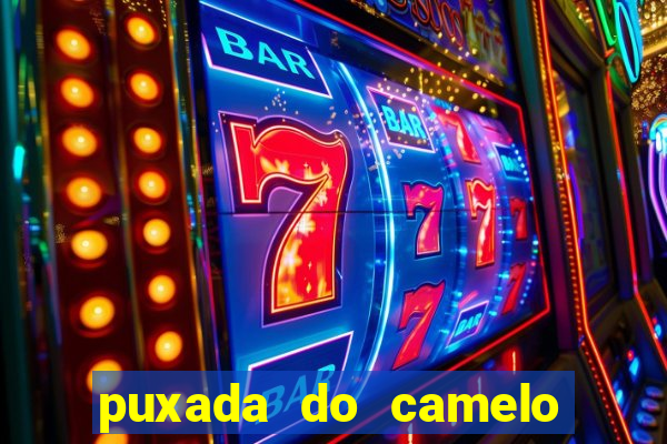 puxada do camelo no jogo do bicho