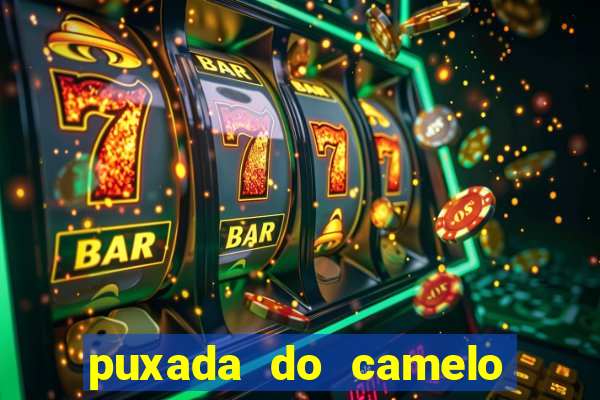 puxada do camelo no jogo do bicho