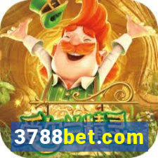 3788bet.com