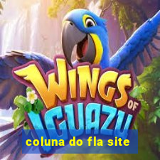 coluna do fla site