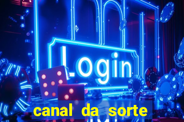 canal da sorte bingo de hoje