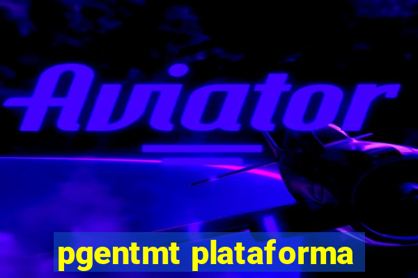 pgentmt plataforma