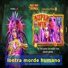 lontra morde humano