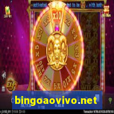 bingoaovivo.net