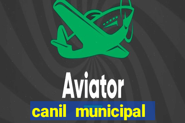 canil municipal porto alegre