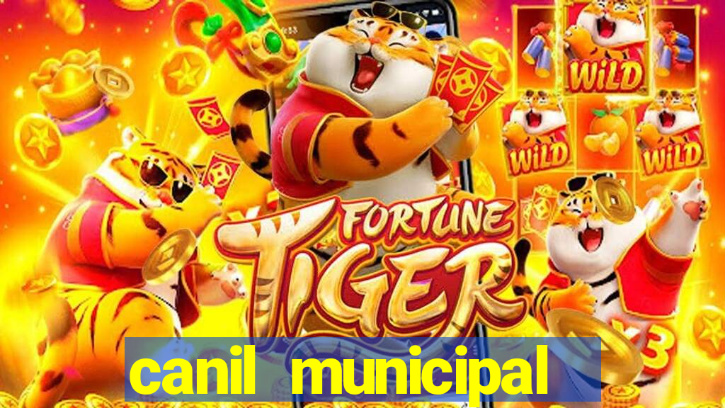 canil municipal porto alegre