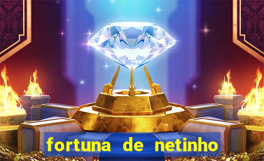 fortuna de netinho de paula