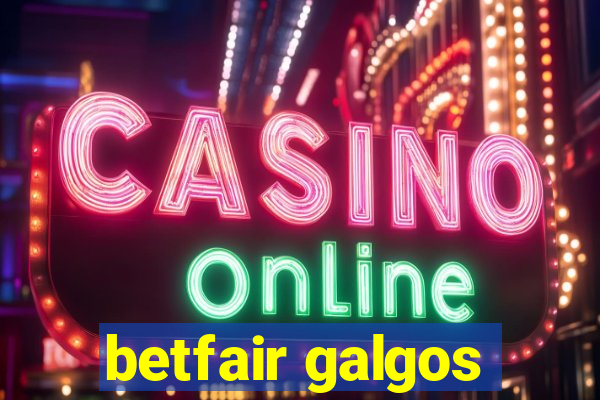 betfair galgos