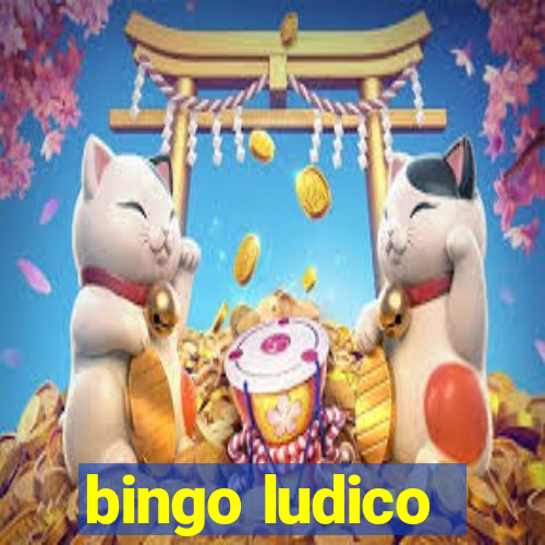 bingo ludico