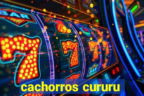 cachorros cururu