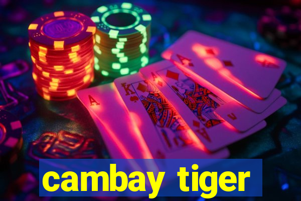 cambay tiger