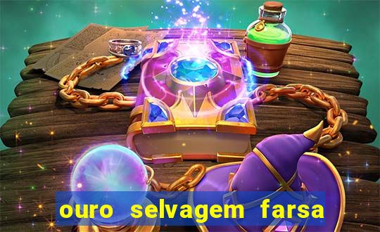 ouro selvagem farsa ouro selvagem o que aconteceu