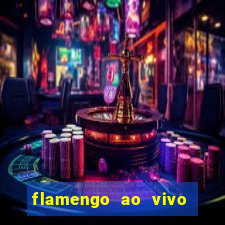 flamengo ao vivo multi canais