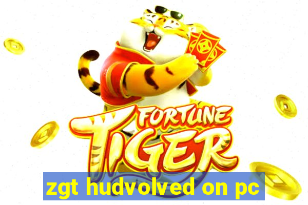 zgt hudvolved on pc