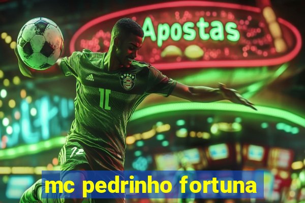 mc pedrinho fortuna