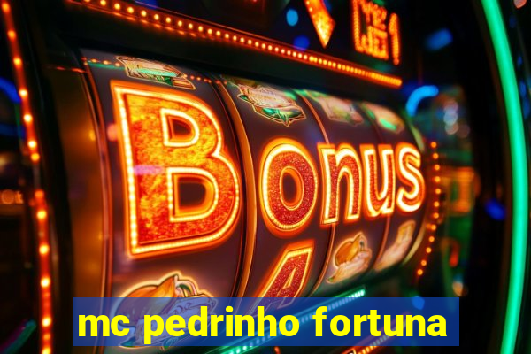 mc pedrinho fortuna