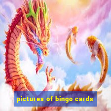 pictures of bingo cards