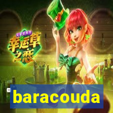 baracouda