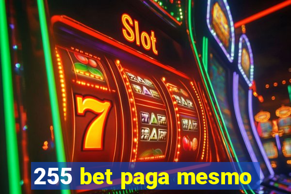 255 bet paga mesmo