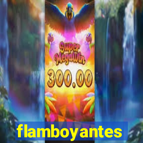 flamboyantes