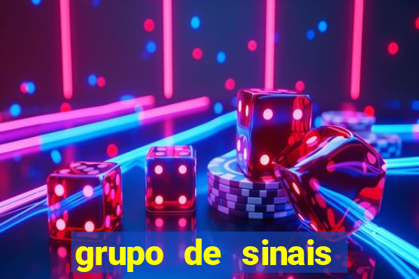 grupo de sinais fortune rabbit