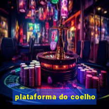 plataforma do coelho