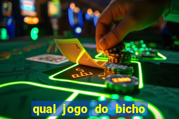 qual jogo do bicho paga mais