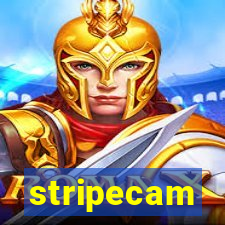 stripecam