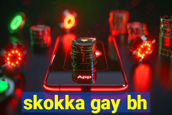 skokka gay bh