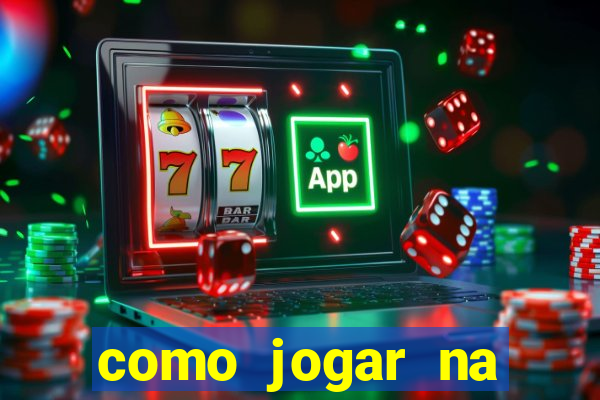 como jogar na lotinha do jogo do bicho