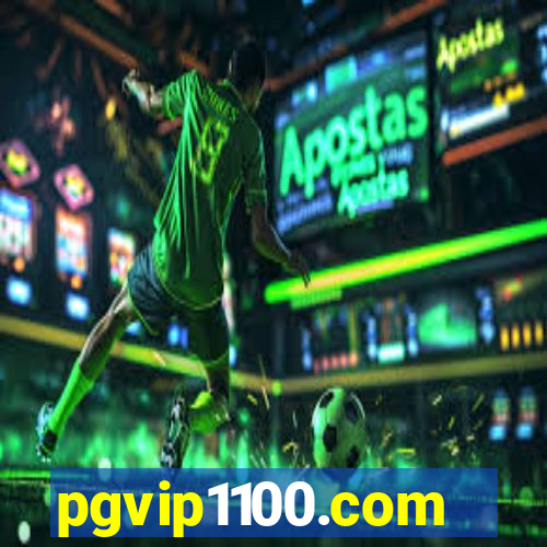 pgvip1100.com