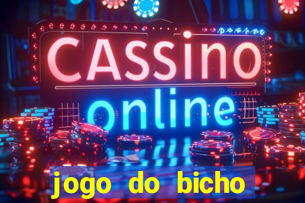 jogo do bicho crash bingo