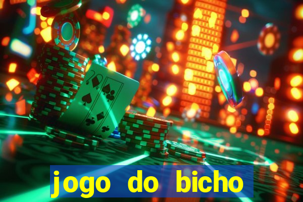 jogo do bicho crash bingo