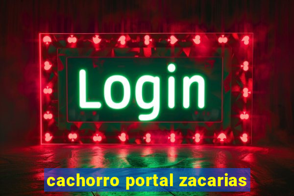 cachorro portal zacarias