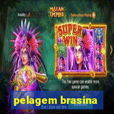 pelagem brasina