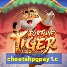 cheetahpgpay1.com