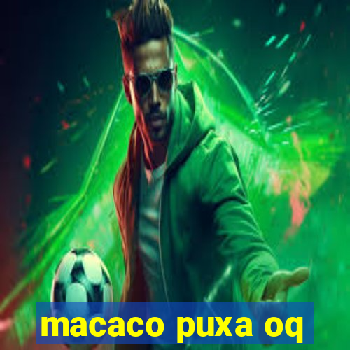 macaco puxa oq