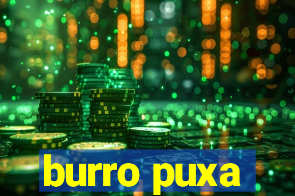 burro puxa