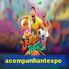 acompanhantesportovelho