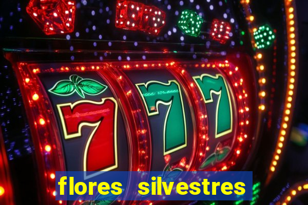 flores silvestres desbravadores desbravadores 25