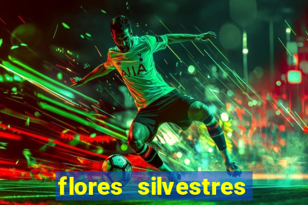 flores silvestres desbravadores desbravadores 25