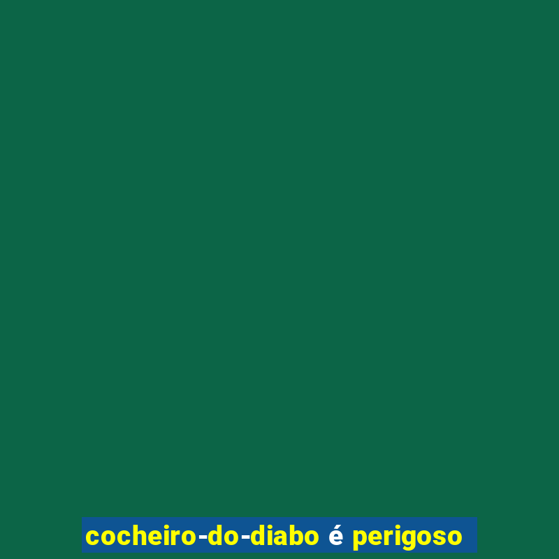 cocheiro-do-diabo é perigoso