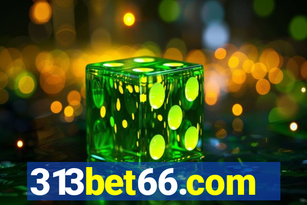 313bet66.com