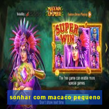 sonhar com macaco pequeno