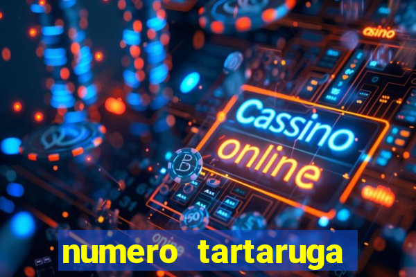 numero tartaruga jogo do bicho