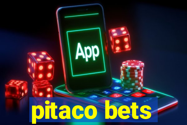 pitaco bets